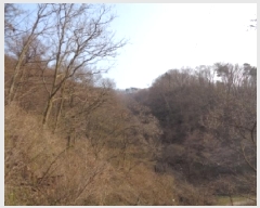  2025Ÿ31053   ݻ ȭ 93-2      (Ӿ)