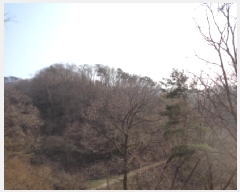  2025Ÿ31053   ݻ ȭ 93-2      (Ӿ)