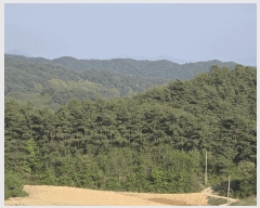  2025Ÿ31149  ӽǱ  踮 103      (Ӿ)