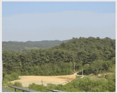  2025Ÿ31149  ӽǱ  踮 103      (Ӿ)