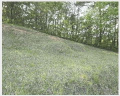  2025Ÿ31149  ӽǱ  踮 103      (Ӿ)