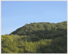  2025Ÿ31149  ӽǱ  踮 103      (Ӿ)