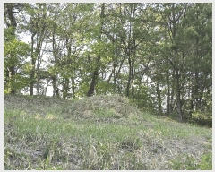  2025Ÿ31149  ӽǱ  踮 103      (Ӿ)