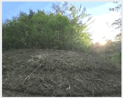  2025Ÿ31149  ӽǱ  踮 103      (Ӿ)