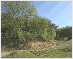  2025Ÿ31149  ӽǱ  踮 103      (Ӿ)