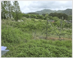  2025Ÿ��31217  ����