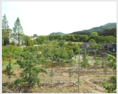  2025Ÿ��31217  ����