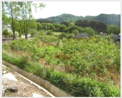  2025Ÿ��31217  ����