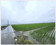  2025Ÿ��31314  ����