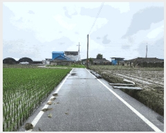  2025Ÿ��31314  ����