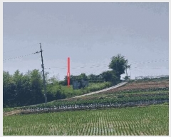  2025Ÿ��31317 ���� ���ֱ� �̼��� ���踮 202-4      ����(��1)���