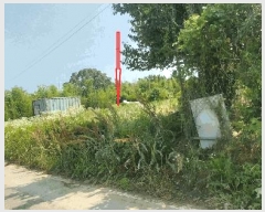  2025Ÿ��31317 ���� ���ֱ� �̼��� ���踮 202-4      ����(��1)���