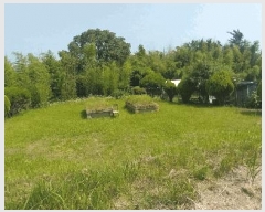  2025Ÿ��31317 ���� ���ֱ� �̼��� ���踮 202-4      ����(��1)���