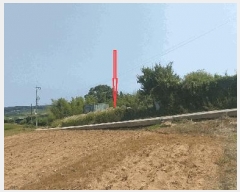  2025Ÿ��31317 ���� ���ֱ� �̼��� ���踮 202-4      ����(��1)���