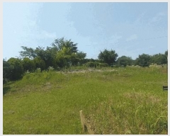  2025Ÿ��31317 ���� ���ֱ� �̼��� ���踮 202-4      ����(��1)���