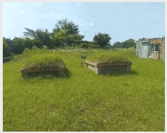  2025Ÿ��31317 ���� ���ֱ� �̼��� ���踮 202-4      ����(��1)���