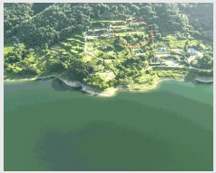  2025Ÿ��31349  �����