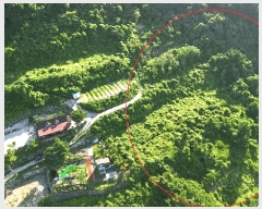  2025Ÿ��31349  �����