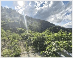  2025Ÿ��31349  �����