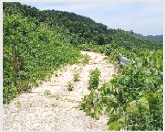  2025Ÿ��31349  �����