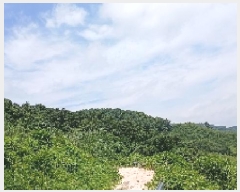  2025Ÿ��31349  �����