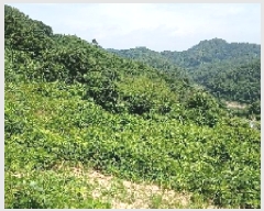  2025Ÿ��31349  �����