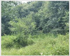 2025Ÿ��31626 ���� ���ȱ� �α͸� ���׸� 841-1      ���ð��