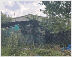  2025Ÿ��31626 ���� ���ȱ� �α͸� ���׸� 841-1      ���ð��