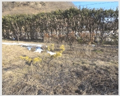  2025Ÿ469  ֱ  ϸ 340-9      ð