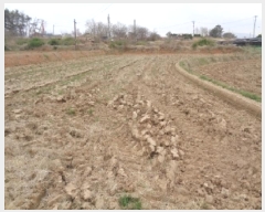  2025Ÿ591    ̸ 417-2      ()