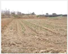  2025Ÿ591    ̸ 417-2      ()