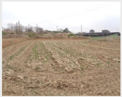  2025Ÿ591    ̸ 417-2      ()