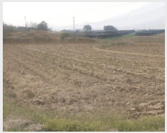  2025Ÿ591    ̸ 417-2      ()