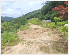  2025Ÿ647  ֱ ̸ ȴ 45-3      (Ӿ)