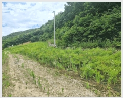  2025Ÿ647  ֱ ̸ ȴ 45-3      (Ӿ)