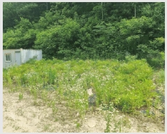  2025Ÿ647  ֱ ̸ ȴ 45-3      (Ӿ)