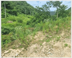  2025Ÿ647  ֱ ̸ ȴ 45-3      (Ӿ)