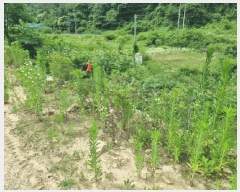  2025Ÿ647  ֱ ̸ ȴ 45-3      (Ӿ)