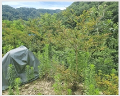  2025Ÿ647  ֱ ̸ ȴ 45-3      (Ӿ)