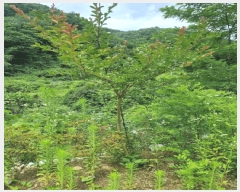  2025Ÿ647  ֱ ̸ ȴ 45-3      (Ӿ)