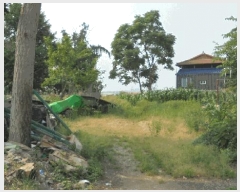  2025Ÿ��712  �������