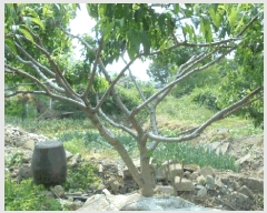  2025Ÿ��712  �������