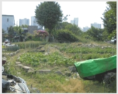  2025Ÿ��712  �������