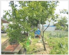  2025Ÿ��712  �������