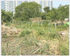  2025Ÿ��712  �������