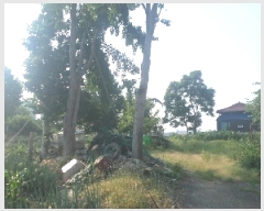  2025Ÿ��712  �������