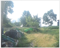  2025Ÿ��712  �������