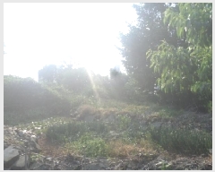  2025Ÿ��712  �������