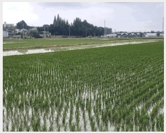  2025Ÿ��721  ����