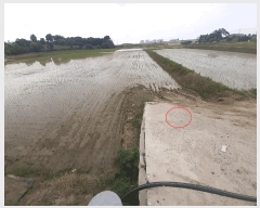  2025Ÿ��721  ����